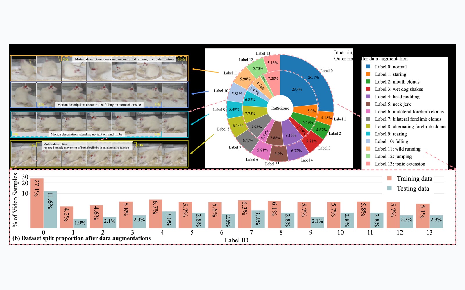 RatSeizure: A Benchmark and Saliency-Context Transformer for Rat Seizure Localization